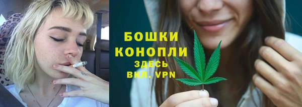 дмт Нея