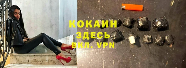 дмт Нея